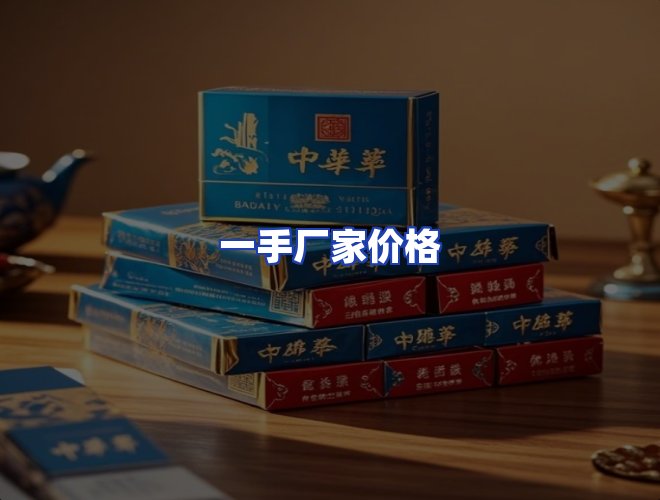 专业团队